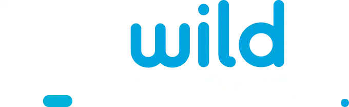 WildTornado Casino Bonus